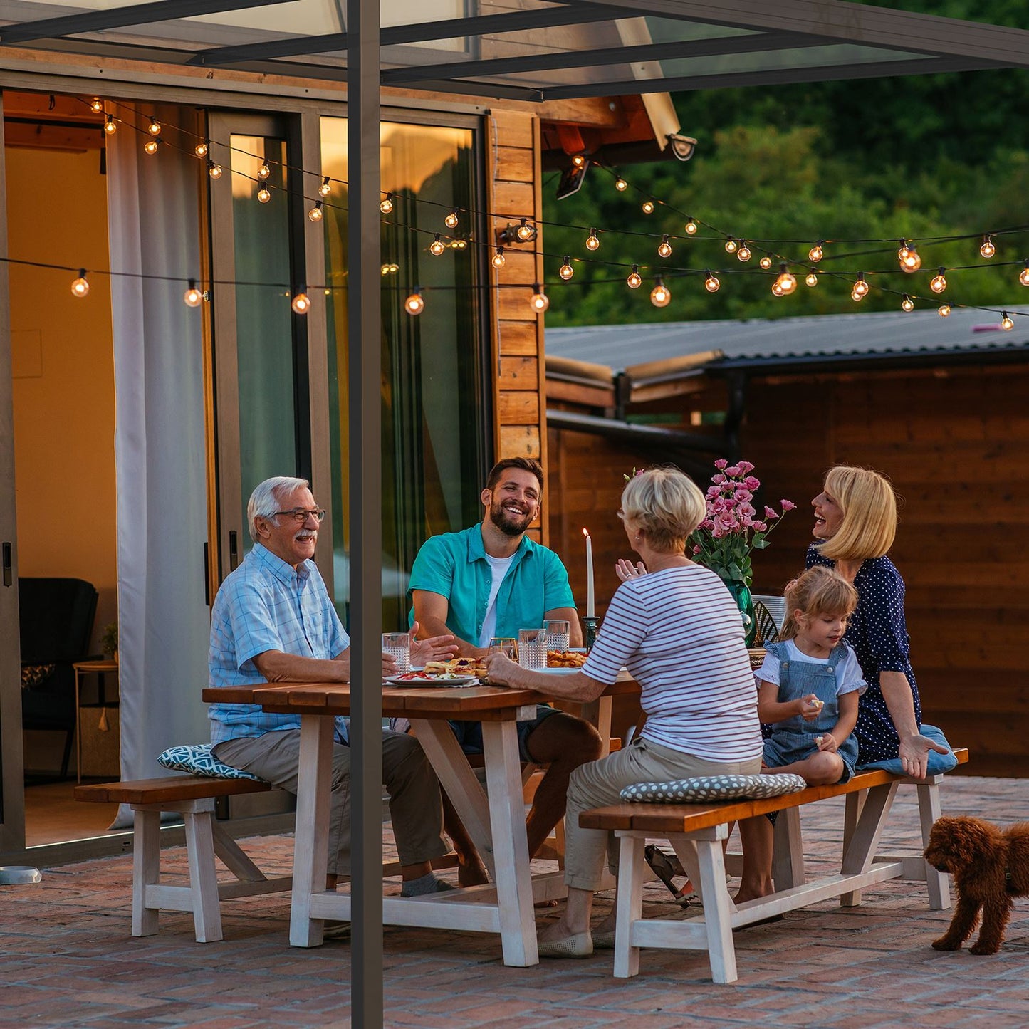 Glass-Like Evolution Canopy (Solid Polycarbonate) - Brown