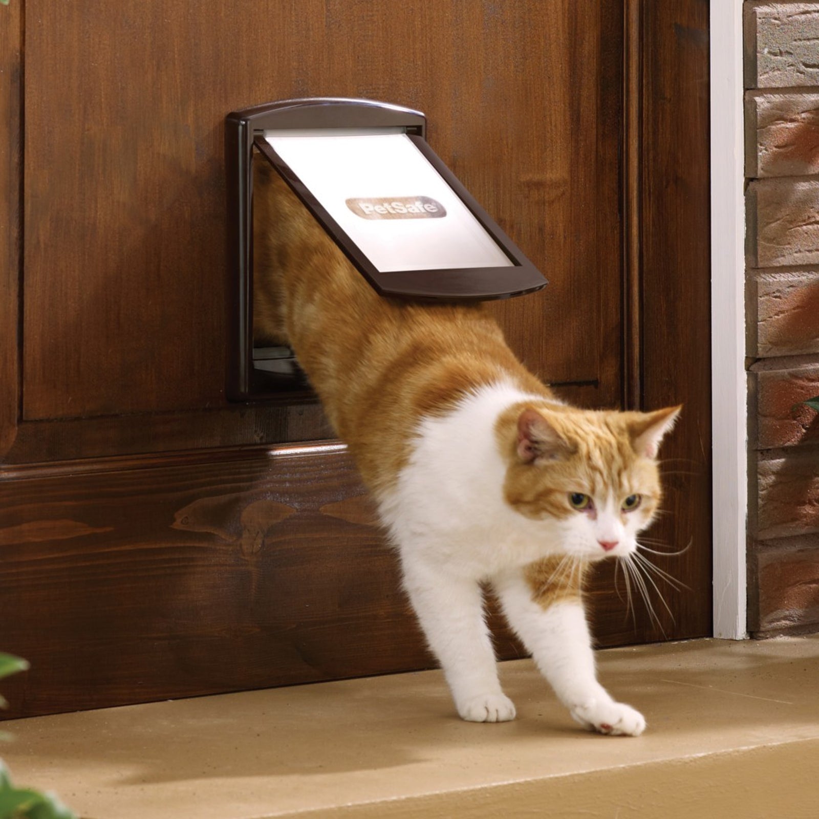 Lockable cat door best sale