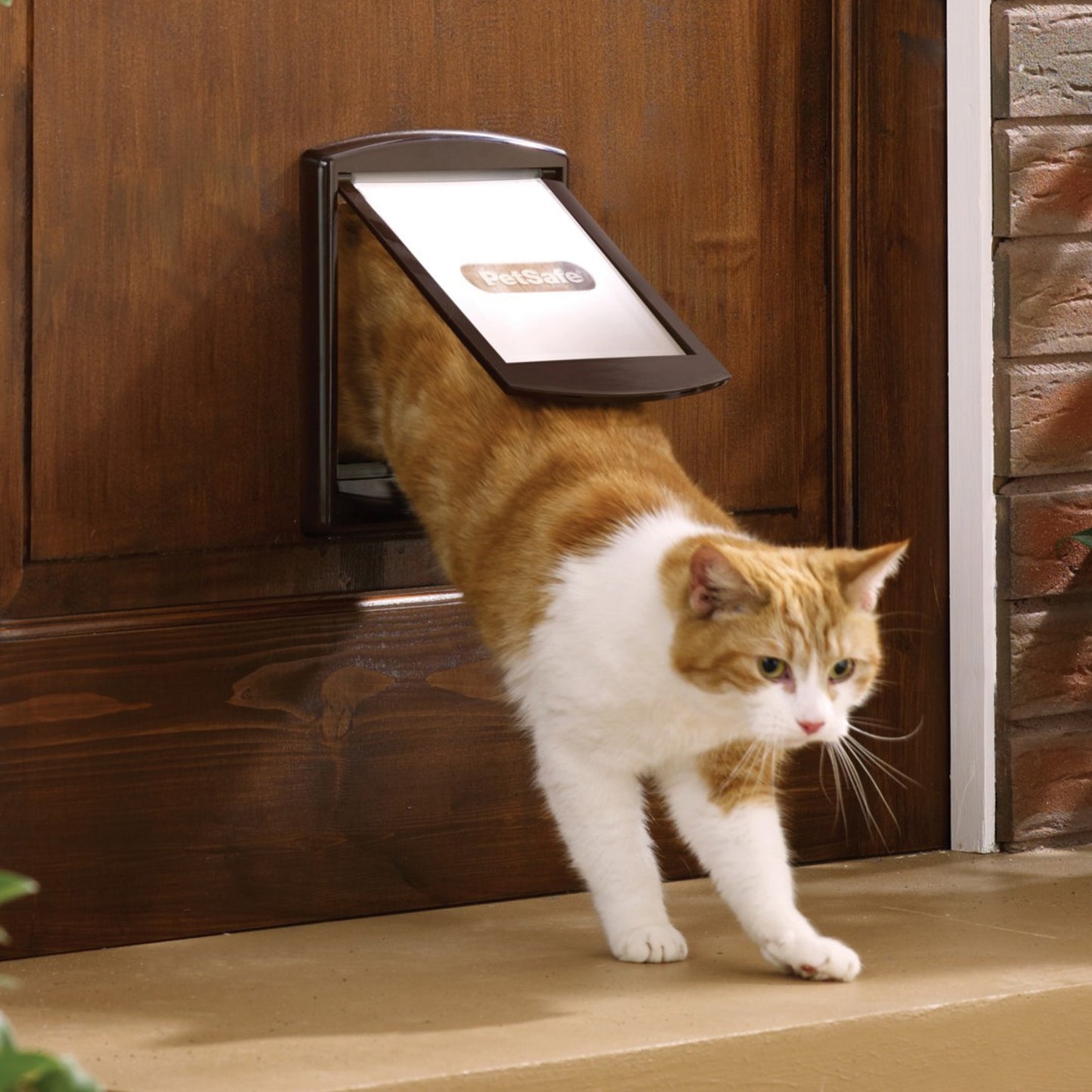 Small Brown PetSafe Original Cat Flap Lockable Two-Way Opening