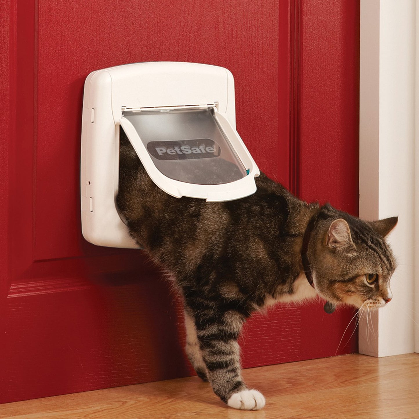 PetSafe Cat Flap Collar & Magnet PetSafe Cat Flap Collar & Magnet