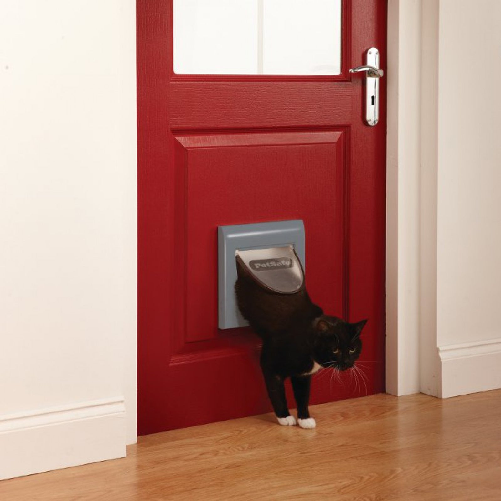 Cat flap with collar hotsell