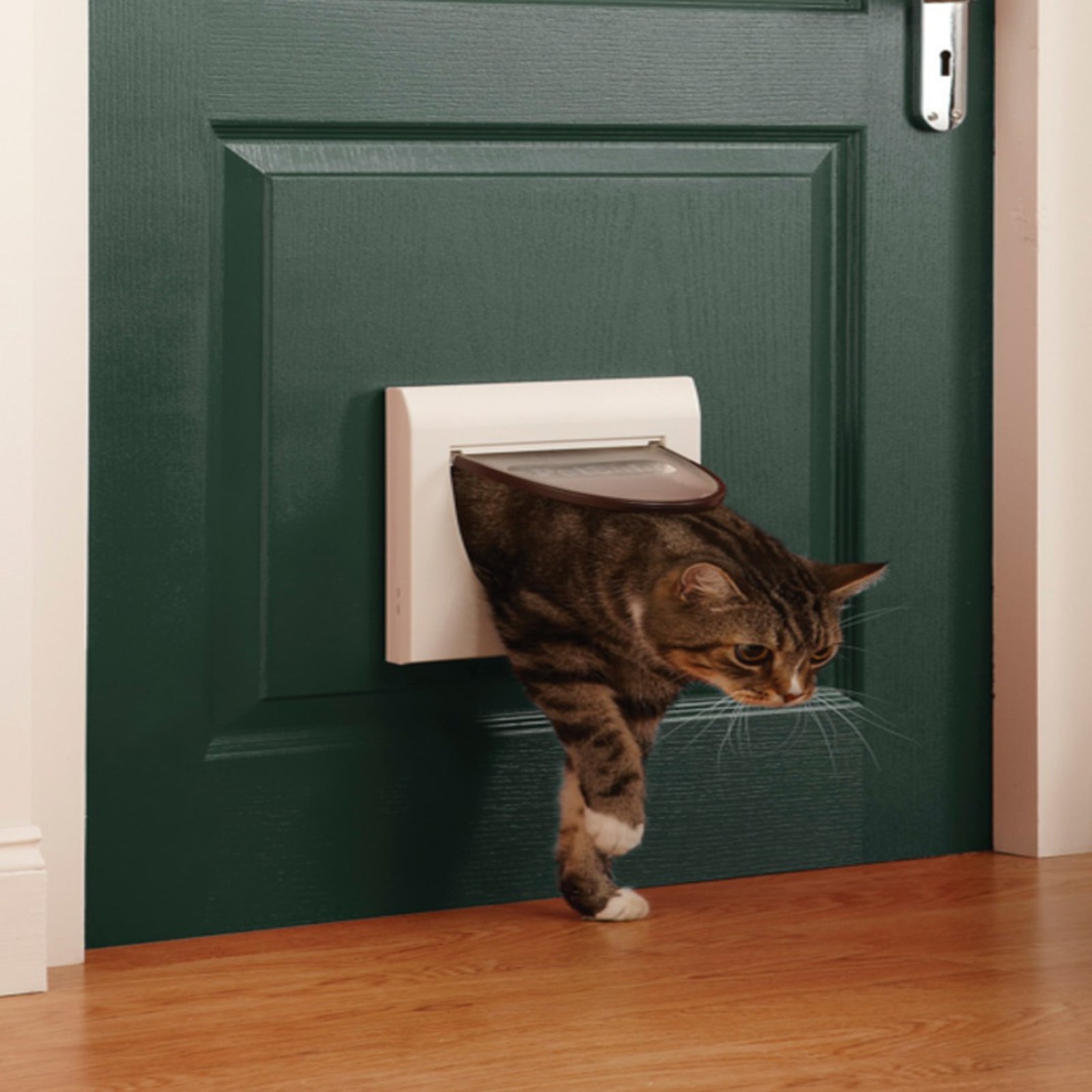 Large cat flap with tunnel best sale